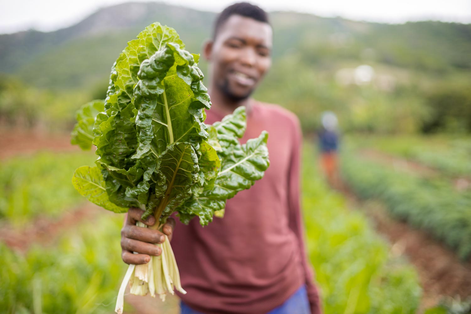 Fresh produce!